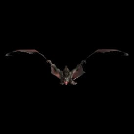Roosting Duskbat model