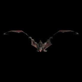 Dark Screecher model