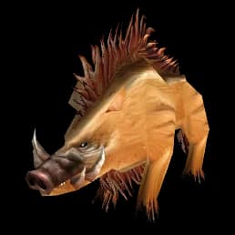Bristleback Snortsnout model