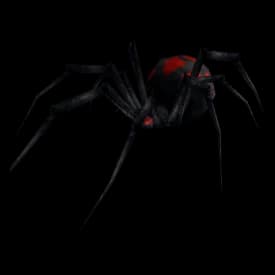 Night Web Matriarch model