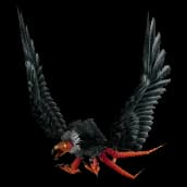 Plaguewing Vulture model