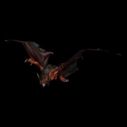 Mangy Duskbat model