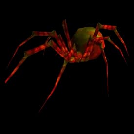Broodwidow model