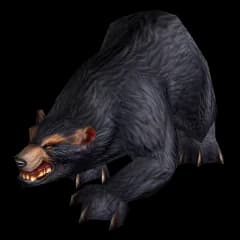 Bear model