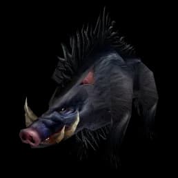 Boar model