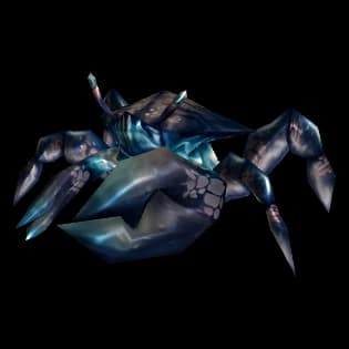 Blue Crab crab