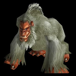 Grey Gorilla gorilla