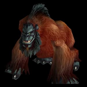 Red Gorilla gorilla