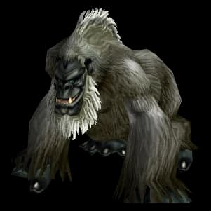 Dark Grey Gorilla gorilla