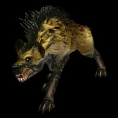 Yellow Hyena hyena