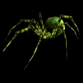 Green Spider spider