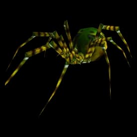 Jungle Spider spider