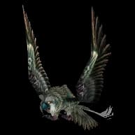 Bird of Prey model