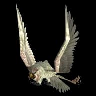 White Owl bird of prey