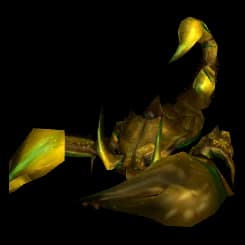 Bronze Scorpid scorpid