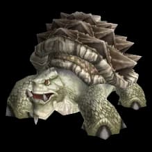 White Turtle turtle