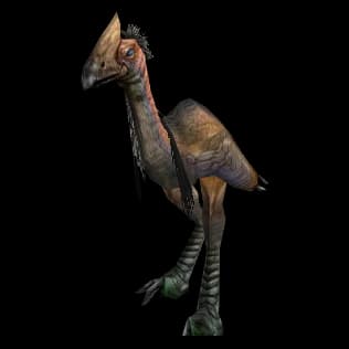 Tallstrider model