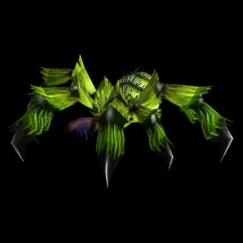 Spider model