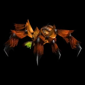 Orange Tarantula spider