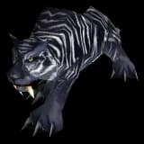 White-Striped Black Cat cat