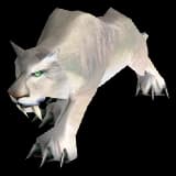 White Cat cat