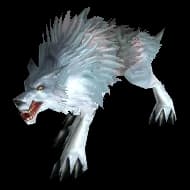 Silver-Grey Wolf wolf