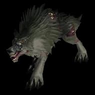 Diseased Black Wolf wolf